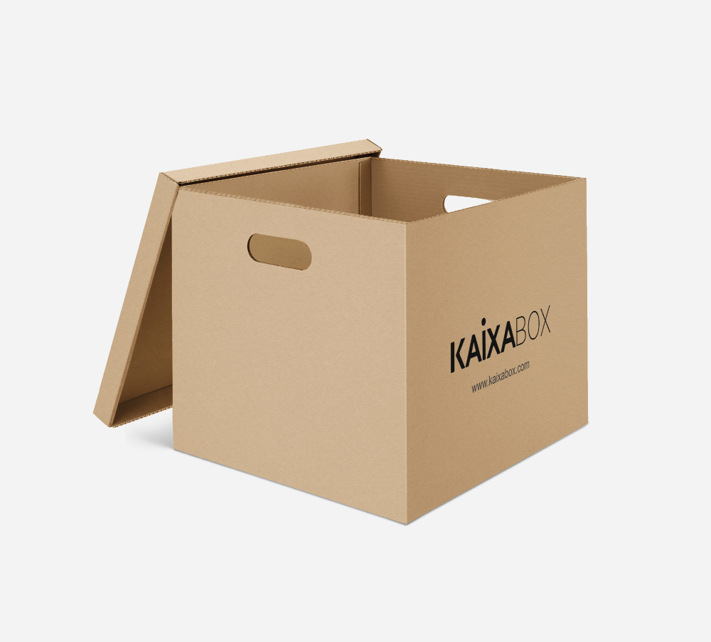 Kit Caixas Organizadoras KaixaBox, Caixa com Tampa e Alça para Transporte, Montagem Simples sem Fita
