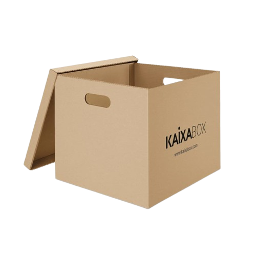 Kit Caixas Organizadoras KaixaBox, Caixa com Tampa e Alça para Transporte, Montagem Simples sem Fita